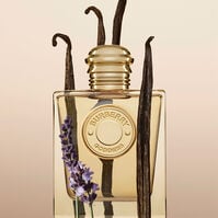 BURBERRY GODDESS  100ml-218285 BURBERRY GODDESS  100ml-218285 2